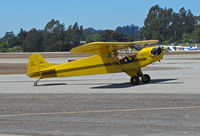 N19512 @ KWVI - 1937 Taylor J-2 painted as NC19512 taxiing @ Watsonville Fly-In - by Steve Nation