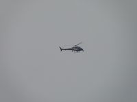 N111FN photo, click to enlarge