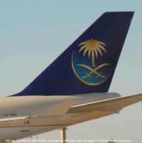 HZ-HM1 @ ADW - tail logo - by J.G. Handelman