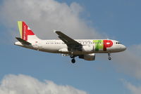CS-TTL @ EBBR - Arrival of flight TP604 to RWY 02