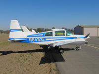 N5433L @ KTLR - Newman, CA-based 1973 Grumman American Aviation Corp AA-5 @ Tulare, CA for visit to nearby World Ag Expo - by Steve Nation