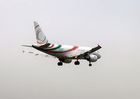 HZ-RCA @ EGLF - HZ-RCA A318CJ short finals at Farnborough - by Pete Hughes