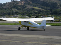 N86166 @ SZP - 1946 Aeronca 11AC CHIEF, Continental C65 65 Hp, two place side by side, landing roll Rwy 04 closeup - by Doug Robertson
