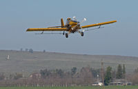 N2256A - Twin Cities Aviation (Yuba City, CA) 1997 Ayres S2R-G10 spraying alfala along CA Hwy 20, 5 miles west of Yuba City, CA