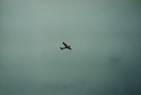 N1453V photo, click to enlarge N1453V photo, click to enlarge