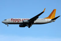 TC-AEP @ LOWW - Peasus Airlines