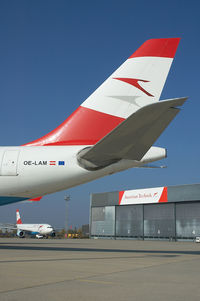 OE-LAM @ LOWW - Austrian Airlines Airbus A330-200 - by Dietmar Schreiber - VAP