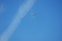 N251MX photo, click to enlarge