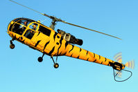 N9362 @ BREIGHTON - Return of th Tiger!!