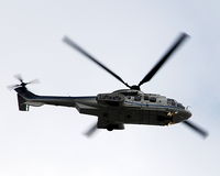 82 02 photo, click to enlarge