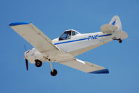 ZK-PNE @ NZTG - At Tauranga - by Micha Lueck