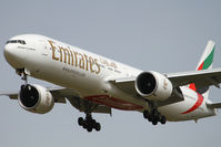 A6-ECR photo, click to enlarge