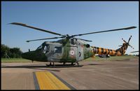 XZ647 @ EGVA - nice tiger paint ! RIAT 2005 - by olivier Cortot