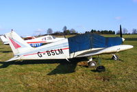 G-BSLM photo, click to enlarge G-BSLM photo, click to enlarge
