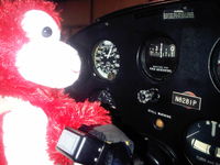 N8281P @ KCOE - Pilot at the controls - by Owner