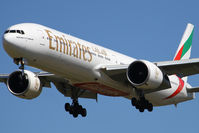 A6-ECA photo, click to enlarge