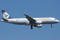 TC-FBV @ LTAI - Freebird Airlines