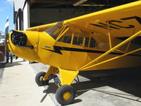 N70238 photo, click to enlarge