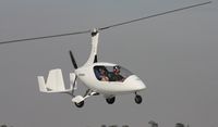 N250PD @ SEF - Calidus 912 - by Florida Metal