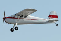 N3743V @ LAL - 1948 Cessna 140, c/n: 15020 at 2012 Sun N Fun - by Terry Fletcher