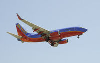 N446WN @ KLAX - Arriving at LAX on 24R - by Todd Royer