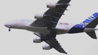 F-WWDD @ TLS - Airbus Industrie - by tukun59@AbahAtok