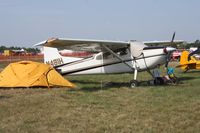 N481H @ LAL - Cessna 185 - by Florida Metal