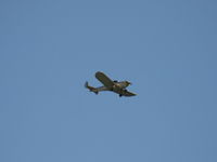N99711 @ SZP - 1946 ERCO Ercoupe 415-D, Continental O-200 100 Hp upgrade, another takeoff climb Rwy 22 - by Doug Robertson