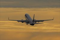 TC-SNG @ EDDR - Boeing 737 - by Jerzy Maciaszek