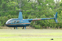 N155MG - At Celebration , Kissimmee - by Terry Fletcher
