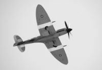 N749DP @ KCNO - Flyby at the 2012 Chino Airshow - by Todd Royer