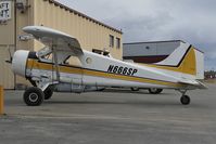 N666SP @ LHD - Dash 2 - by Dietmar Schreiber - VAP
