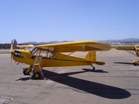 N3624K @ KLPC - Lompoc Piper Cub Fly-in 2006 - by Nick Taylor