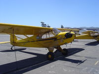 N25806 @ KLPC - Lompoc Piper Cub Fly-in 2006 - by Nick Taylor