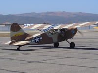 N31853 @ KLPC - Lompoc Piper Cub Fly-in 2006 - by Nick Taylor