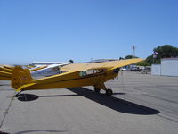 N33112 @ KLPC - Lompoc Piper Cub Fly-in 2006 - by Nick Taylor