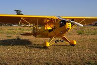 N77524 @ KLPC - Lompoc Piper Cub Fly-in 2006 - by Nick Taylor