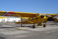 N48525 @ KLPC - Lompoc Piper Cub Fly-in 2006 - by Nick Taylor