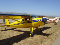 N71147 @ KLPC - Lompoc Piper Cub Fly-in 2006 - by Nick Taylor