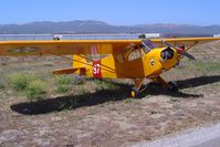N92497 @ KLPC - Lompoc Piper Cub Fly-in 2006 - by Nick Taylor