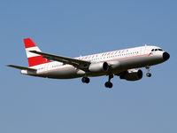 OE-LBP @ LOWW - Wien - by Ferenc Kolos