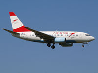 OE-LNM @ LOWW - Wien - by Ferenc Kolos