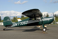 N77050 @ PAE - Looking nice in the spring sun! - by Duncan Kirk