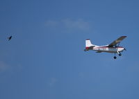 SE-FMX @ EGLM - Cessna A185E Skywagon being chased out of White Waltham by a Red Kite. Ex N1986U - by moxy