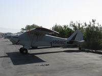 N9616C @ SZP - 1991 Christen A-1 HUSKY, Lycoming O&VO-360 180 Hp - by Doug Robertson