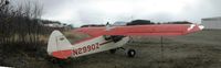 N2990Z @ 5NK - Taken in Naknek Alaska 6/5/2003 - by Robert Finlay