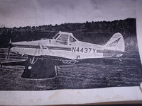 N4437Y @ 2OH9 - a pic of a pawnee 260 - by christian maurer