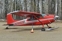 N288DB @ PAUO - Cessna 180 - by Dietmar Schreiber - VAP