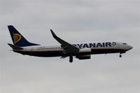 EI-DWA photo, click to enlarge EI-DWA photo, click to enlarge