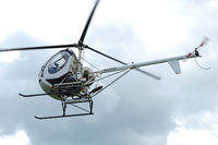 N8990F @ EIMH - Ballyboy Fly-in 04-06-2012.